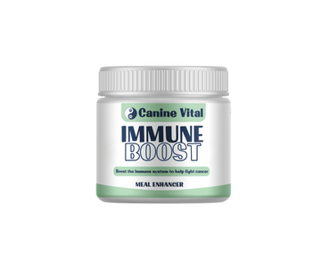 Immune & Cancer Support