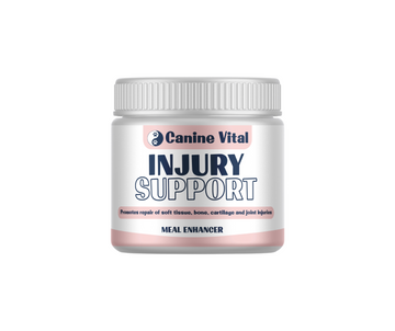 Canine Vital Injury Support - Ligament and Injury support for dogs