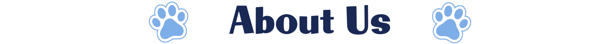 About Us