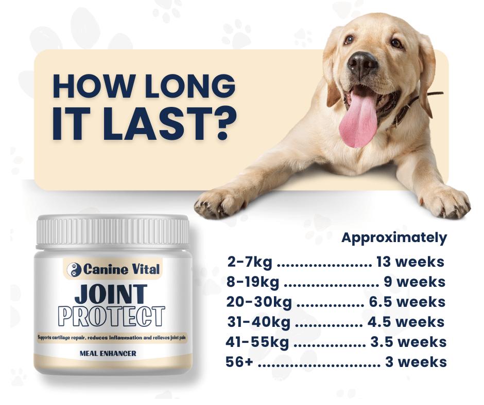 Canine Vital Joint Protect - Advanced Natural Hip and Joint Supplement for dogs