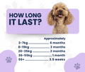 Canine Vital Probiotic Plus - Complete Digestive and Allergy Support for Dogs
