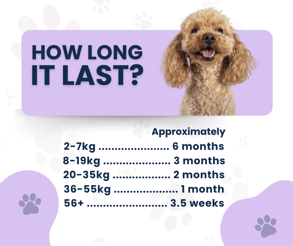 Canine Vital Probiotic Plus - Complete Digestive and Allergy Support for Dogs