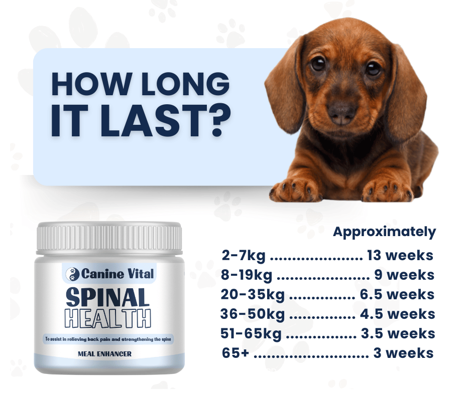 Canine Vital Spinal Health - Natural Spinal Support Supplement for Dogs