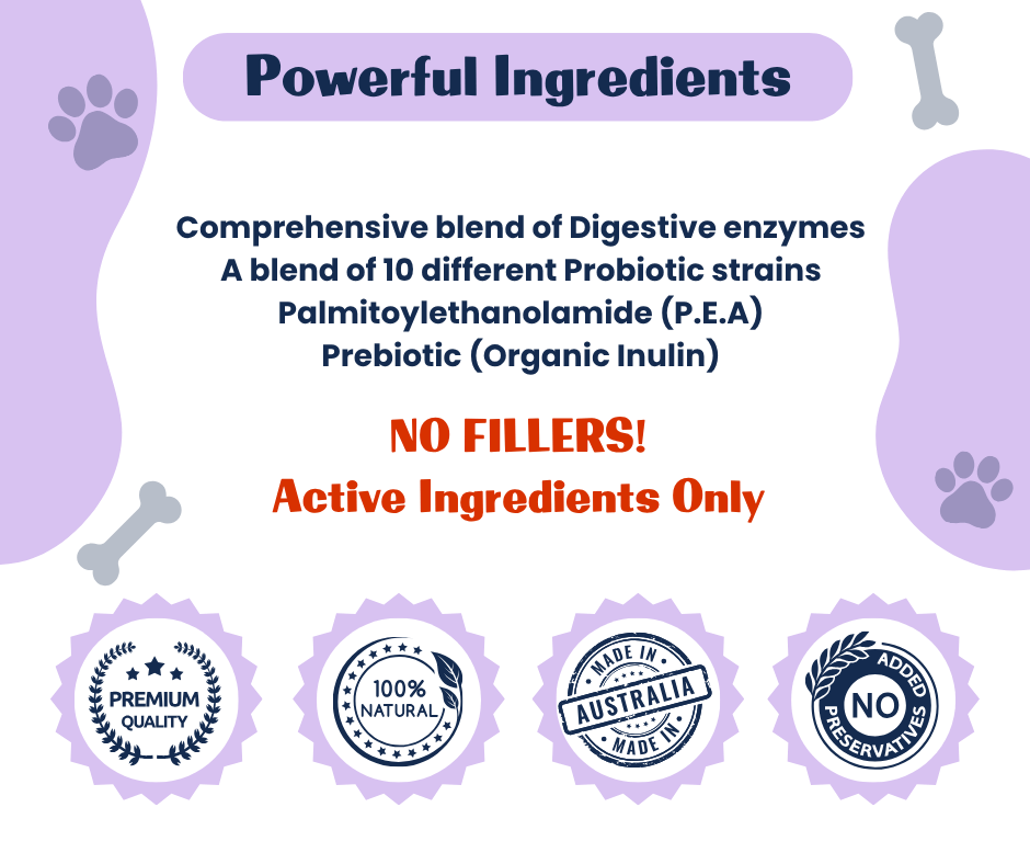 Canine Vital Probiotic Plus - Complete Digestive and Allergy Support for Dogs