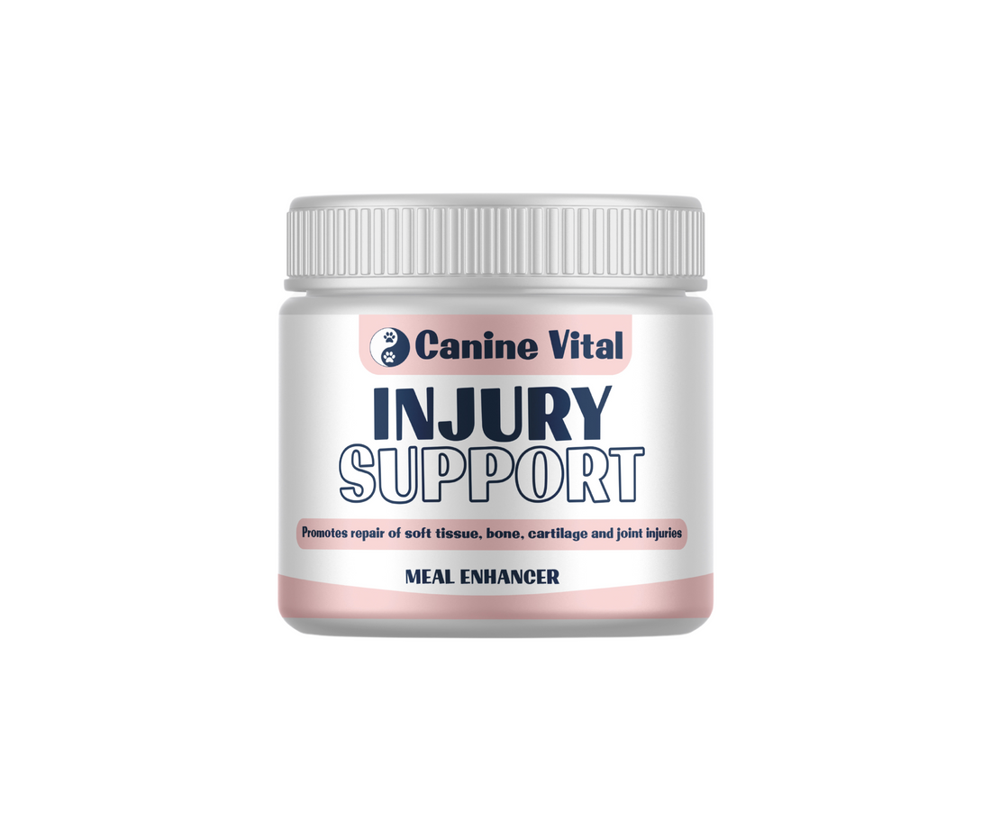 Canine Vital Injury Support - Ligament and Injury support for dogs