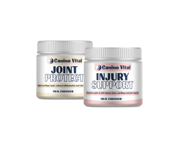 Canine Vital Injury Support & Joint Protect bundle