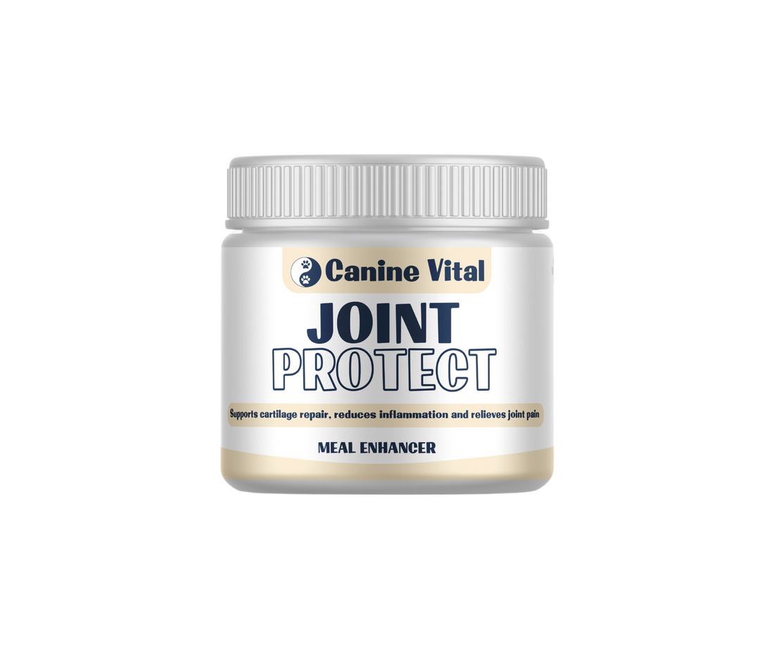Canine Vital Joint Protect - Advanced Natural Hip and Joint Supplement for dogs