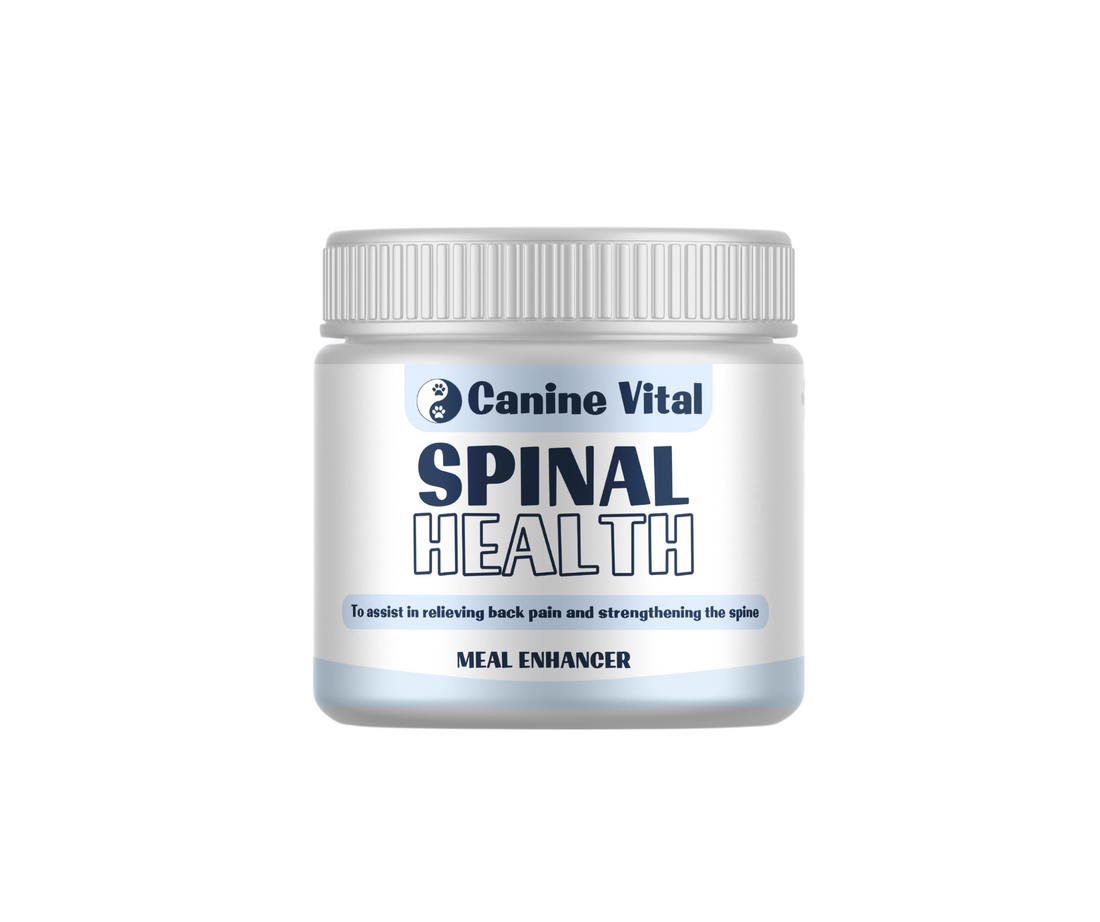 Canine Vital Spinal Health - Natural Spinal Support Supplement for Dogs